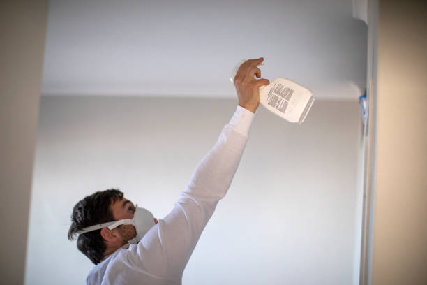 Best Mold Cleaning Services  in Cosmopolis, WA