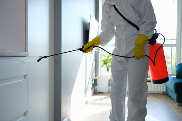 Best Mold Damage Repair  in Cosmopolis, WA